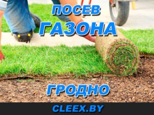 Посев газона в Гродно под ключ по низкой стоимости за кв. м. и за сотку. Профессиональные работы по озеленению территории в Гродно и Гродненской области.
