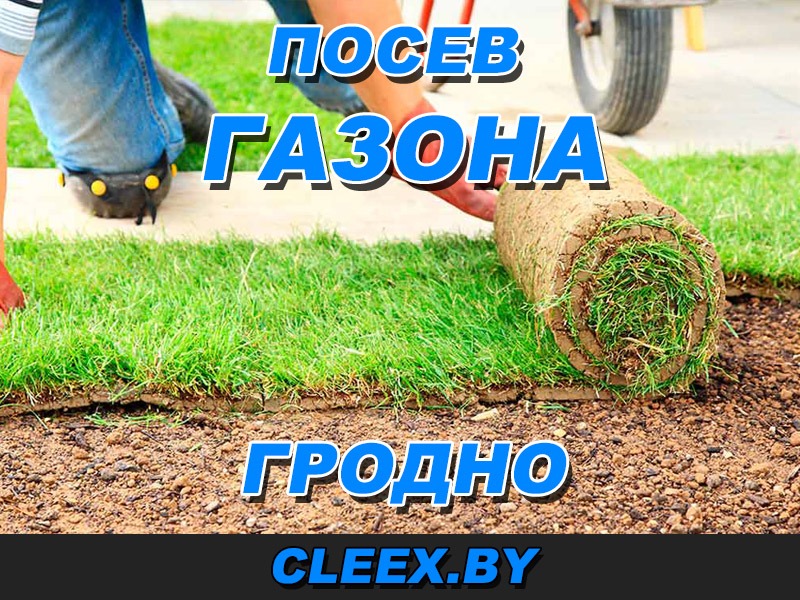 Посев газона в Гродно под ключ по низкой стоимости за кв. м. и за сотку. Профессиональные работы по озеленению территории в Гродно и Гродненской области.