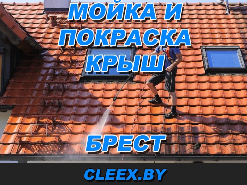 Мойка и покраска крыш в Бресте и Брестской области по приемлемой цене. Мойка шифера,чистка кровли крыш, удаление грязи, мха. Покраска торцов и карнизов.