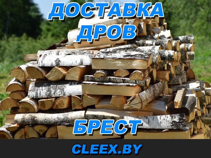 Купить дрова в Бресте. ✓ Дубовые ✓ Кленовые ✓ Сосновые. ✓ Дрова с доставкой по Брестской области ✓ Хранение, продажа и доставка.