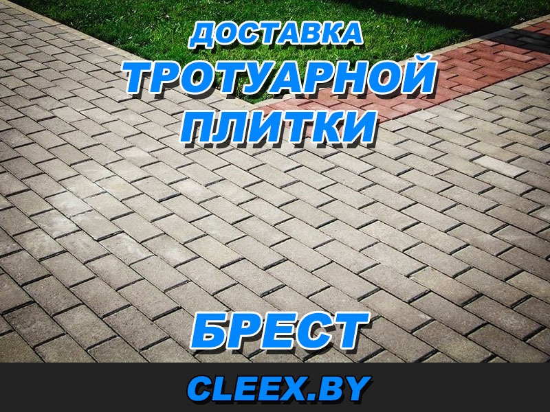 Доставка и продажа качественной тротуарной плитки в Бресте для благоустройства Вашего участка в Бресте и Брестской области по приемлемым ценам. Звоните!