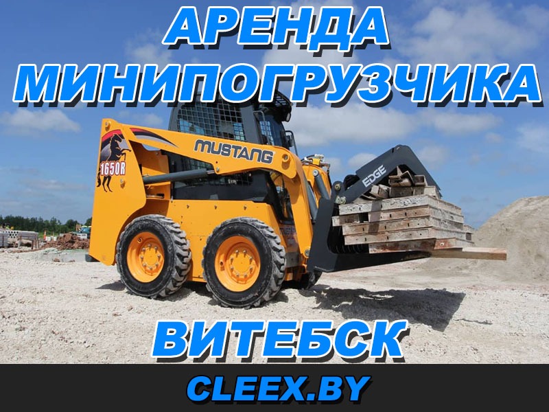 Аренда мини-погрузчика в Витебске