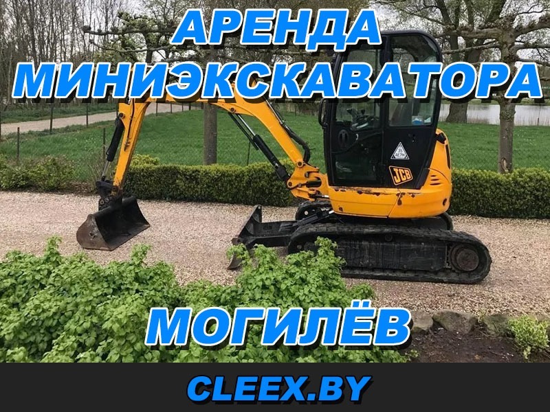 Аренда миниэкскаватора в Могилёве.