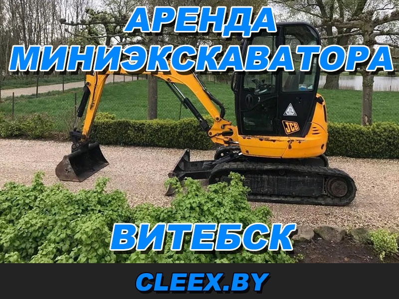 Услуги по аренде миниэкскаватора в Витебске.