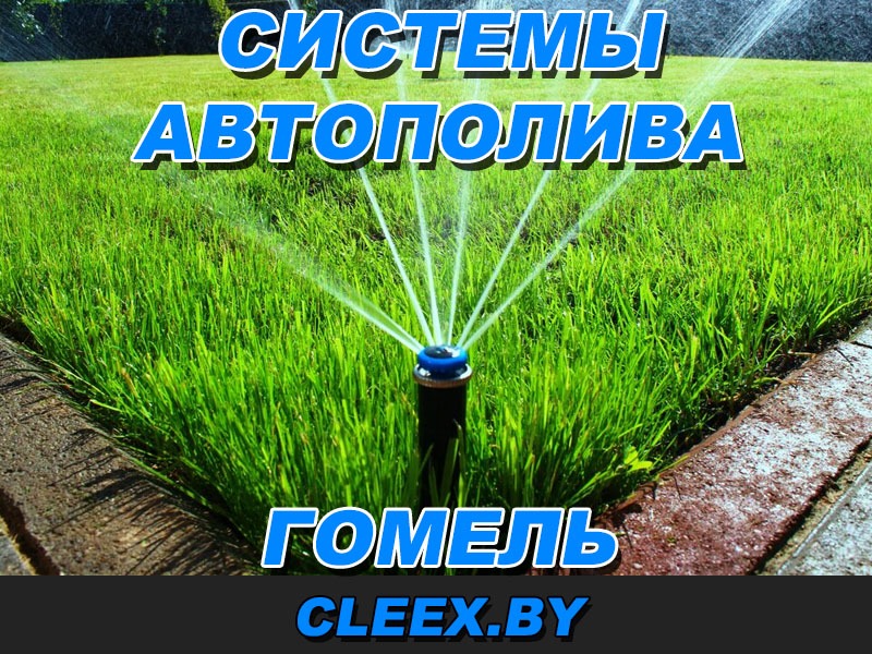 Системы автополива газона в Гомеле и Гомельской области.