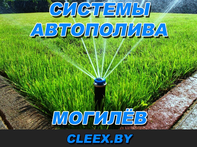 Автополив газона в Могилёве