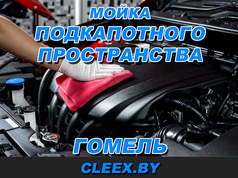 Мойка подкапотного пространства в Гомеле. Мойка двигателя Гомель и Гомельская область.