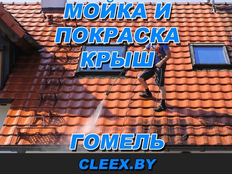 Услуги по мойке и покраске крыш в Гомеле