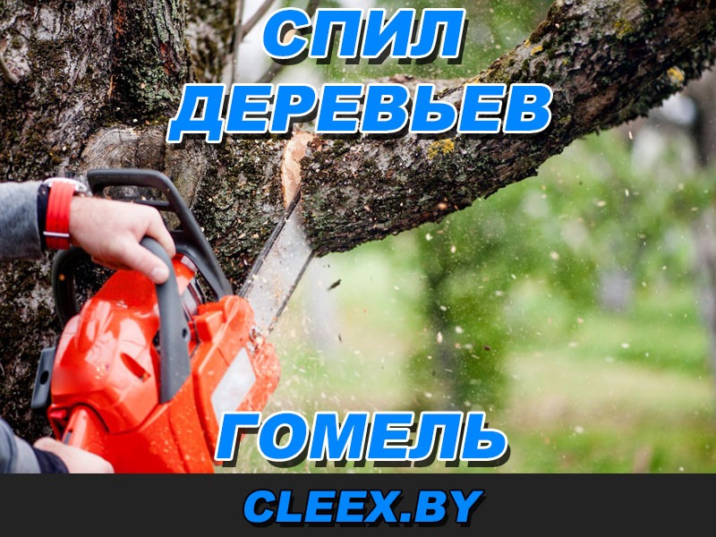 Спил деревьев в Гомеле и Гомельской области.
