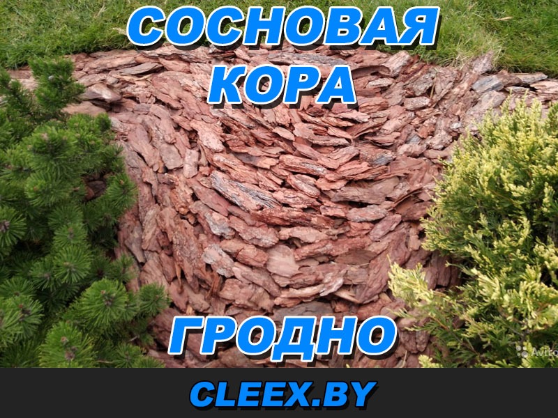 Услуги по продаже сосновой коры мульчи в Гродно и всей Республике. Сосновая кора различных фракций. Бесплатная доставка по всех стране при больших объёмах!