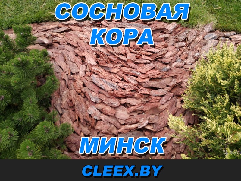 Купить кору для мульчирования в Минске. Кора мульча Минск.