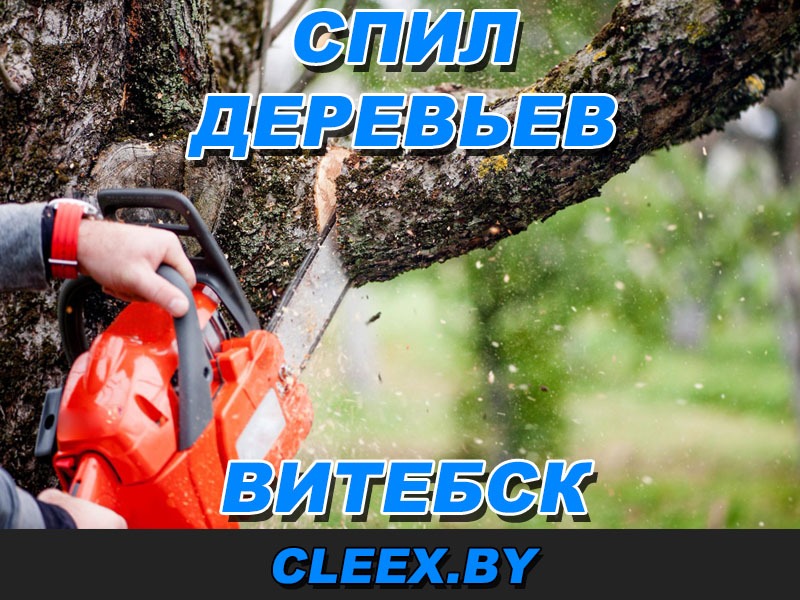 Спил сложных деревьев в Витебске. Профессионально и безопасно спилим аварийное дерево. Выполним обрезку мешающих веток, корчевание пней и вырубку. Звоните!