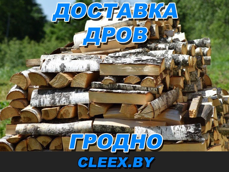 Купить дрова в Гродно. ‎✓ Дубовые ✓ Кленовые ✓ Сосновые. ✓ Дрова с доставкой по Гродненской области ✓ Хранение, продажа и доставка.