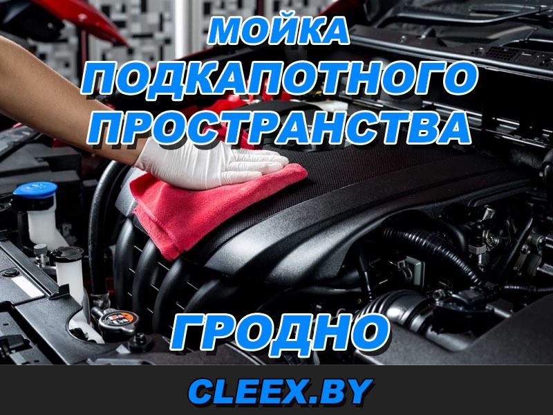 Мойка двигателя в Гродно паром - наиболее безопасная и деликатная процедура по очистке мотора. Загрязнения удаляются на 100%. Звоните!