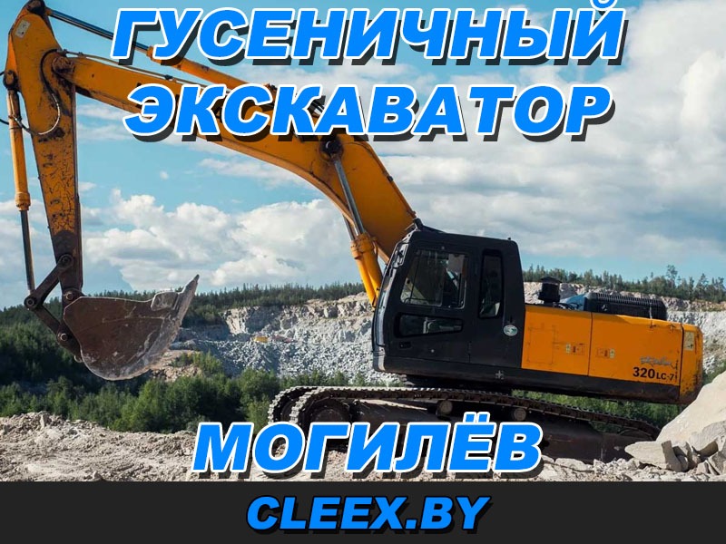 Взять в аренду экскаватор на гусеницах в Могилёве и Могилёвской области с водителем с большим опытом. Цены от 50 рублей по городу.