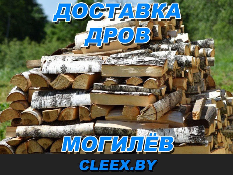 Купить дрова в Могилёве. ✓ Дубовые ✓ Кленовые ✓ Сосновые. ✓ Дрова с доставкой по Могилёвской области ✓ Хранение, продажа и доставка.