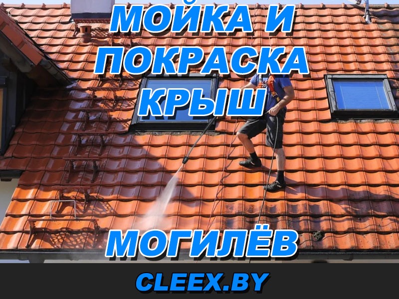 Мойка и покраска крыш в Могилёве и Могилёвской области по приемлемой цене. Мойка шифера, чистка кровли крыш, удаление грязи, мха. Покраска торцов и карнизов.