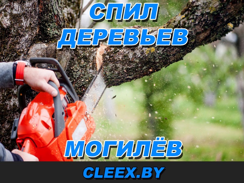 Спил сложных деревьев в Могилёве. Профессионально и безопасно спилим аварийное дерево. Выполним обрезку мешающих веток, корчевание пней и вырубку. Звоните!