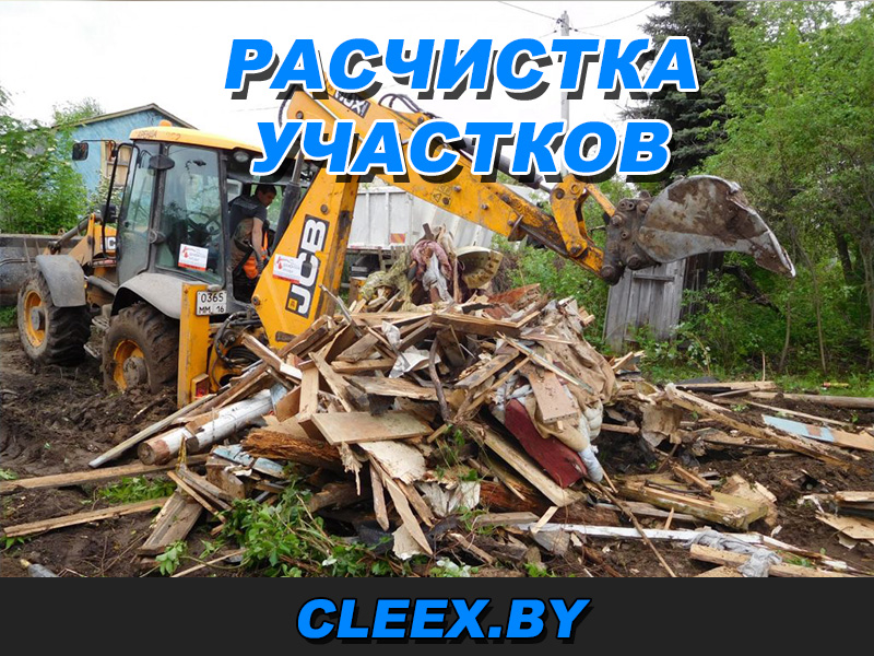 Расчистка участка в Гомеле