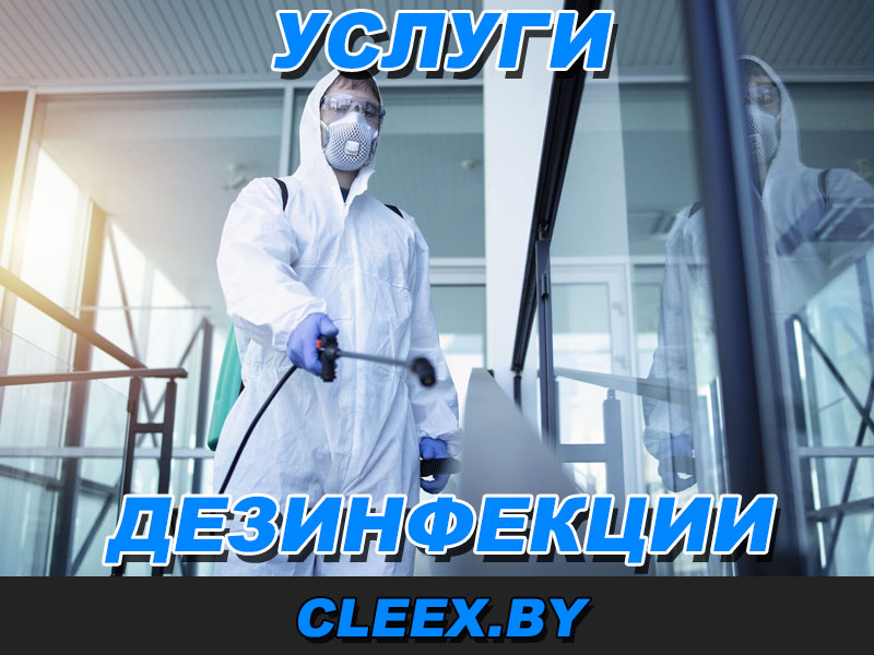 Сделать дезинфекцию в Светлогорске, Речице, Жлобине, Рогачёве, Калинковичах, Мозыре