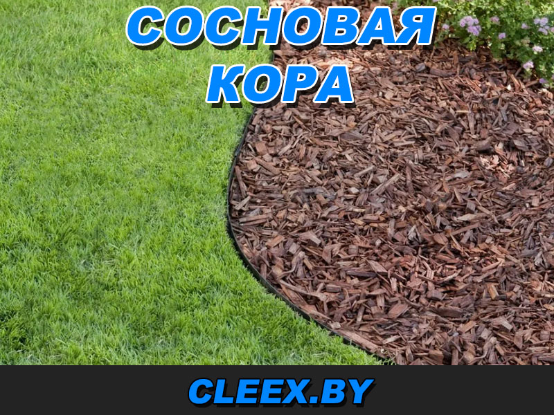 Продажа коры сосновой в РБ