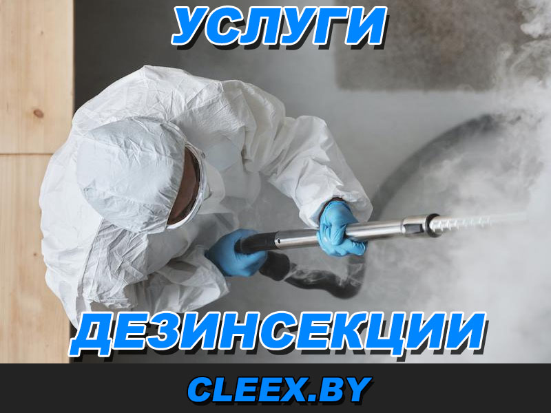 Удалить тараканов и клещей Беларусь