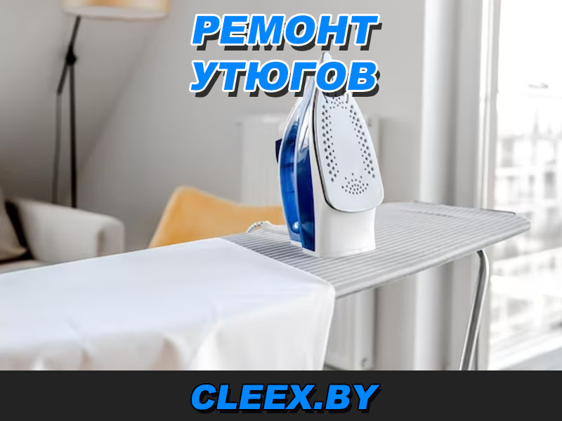 Отремонтировать утюг в Гродно, Бресте, Витебске, Минске, Гомеле, Могилёве